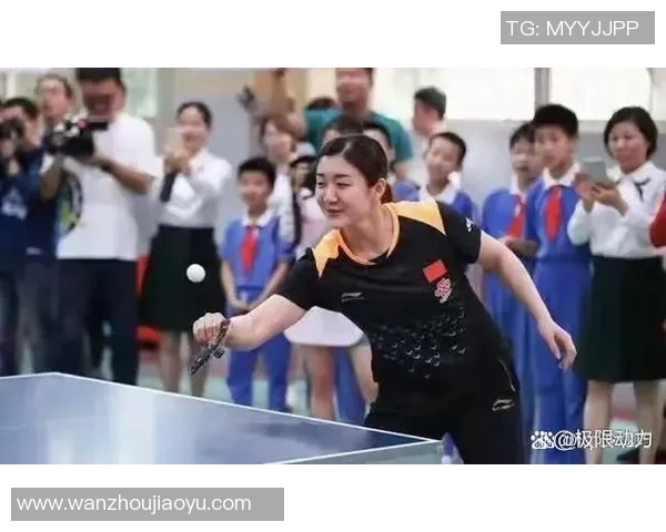 杭州乒乓球队的拼搏之路与奥运梦想的追逐历程
