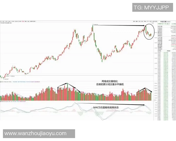 重庆排球队与北京排球队赛后技术分析与战术复盘探讨